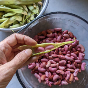 Organic Kidney Beans