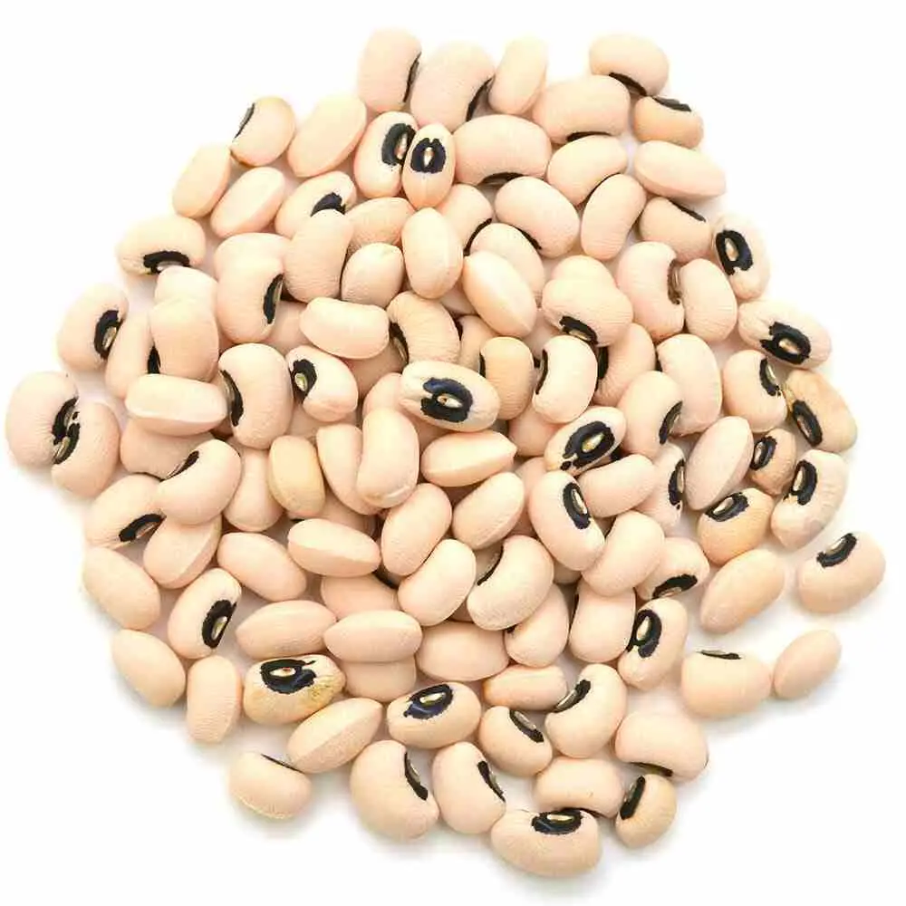 BLACK-EYE-BEANS-1.webp