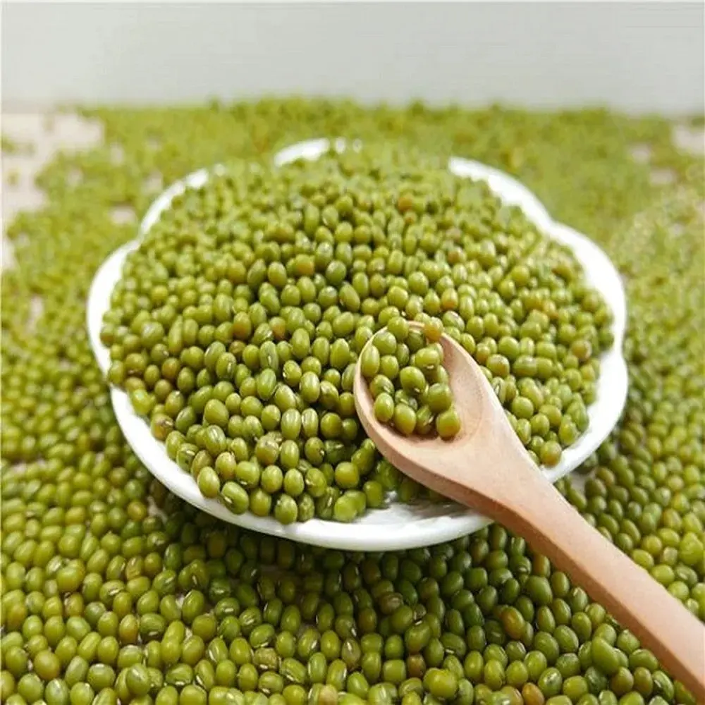 GreenGram2.webp