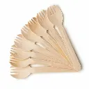 Spork 3.webp