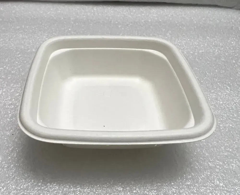 sugarcane biodegradable bowl 3.webp