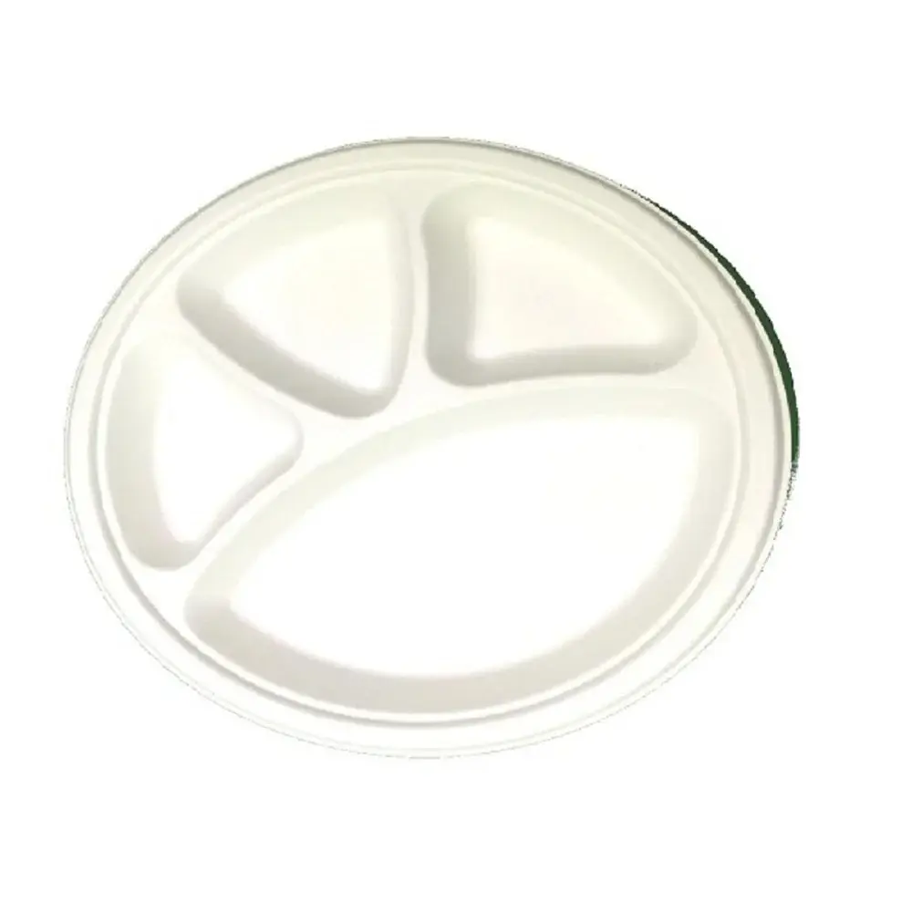 Sugarcane Plate 2.webp