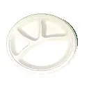 Sugarcane Plate 2.webp