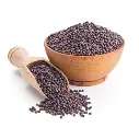 Musterd seed black.webp