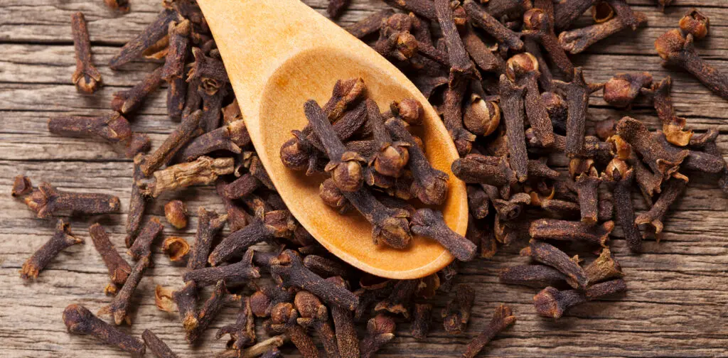 Cloves-1-1024x504.webp