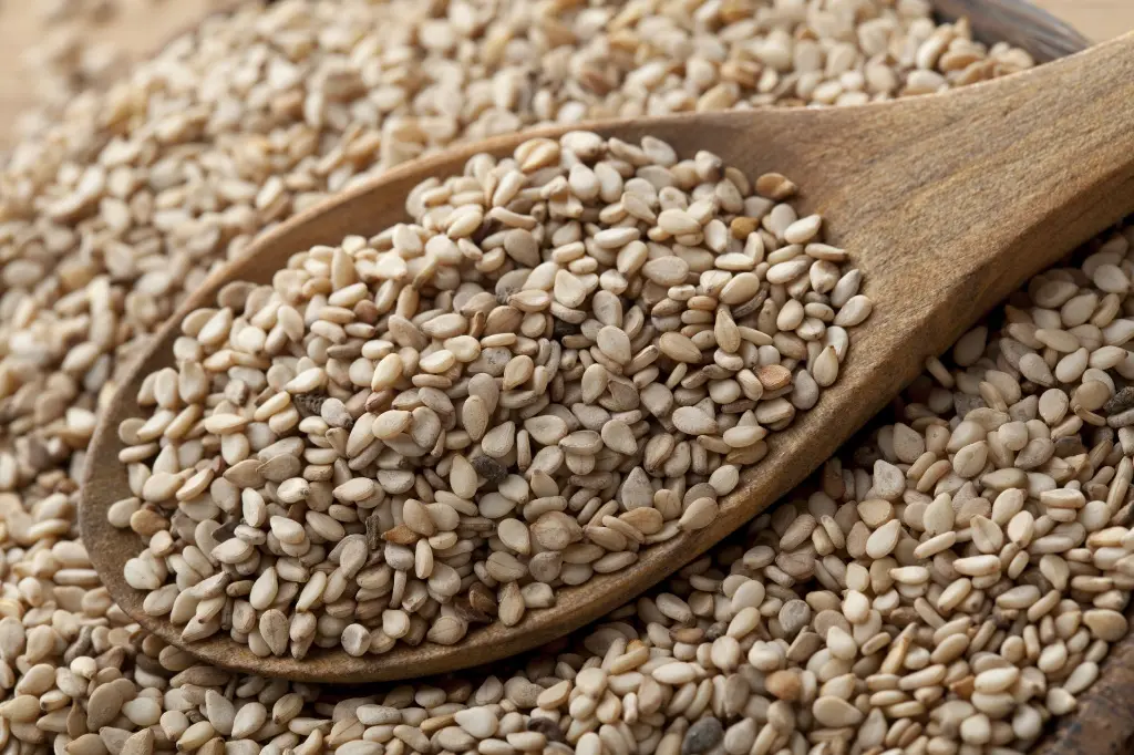sesame.webp
