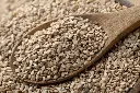 sesame.webp
