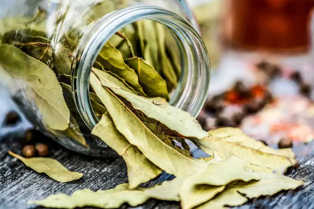 bayleaves.webp