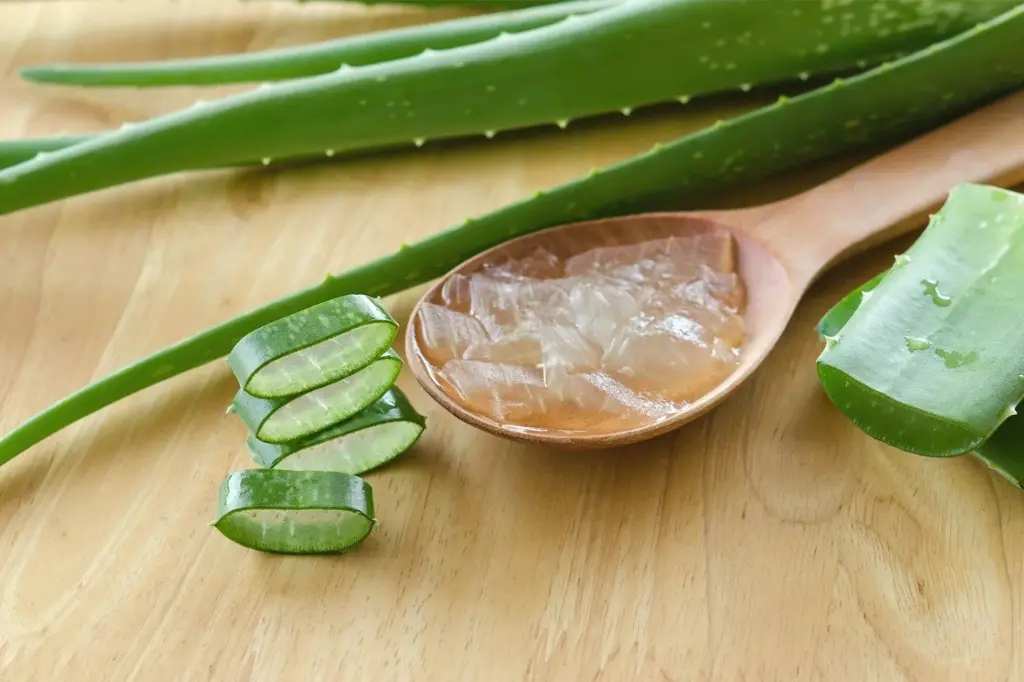 organic-aloe-vera-pulp.webp