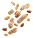 Peanuts2.webp