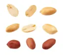 Peanuts.webp