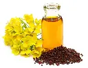 Mustard Oil2.webp