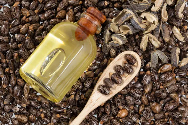 Castor Oil3.webp