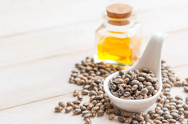 Castor Oil2.webp