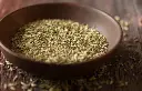 Fennel1.webp