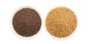Mustard Seeds