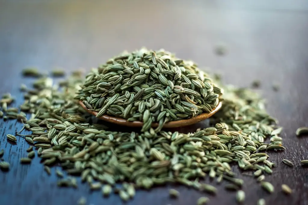 Fennel Seed