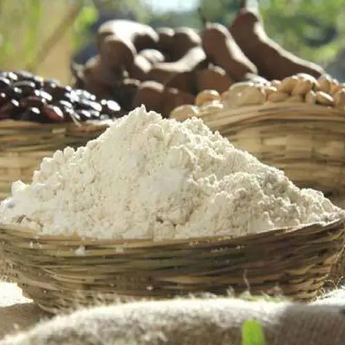 Tamarind Seed Powder 