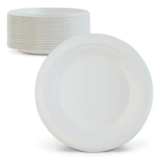 Sugarcane Plates
